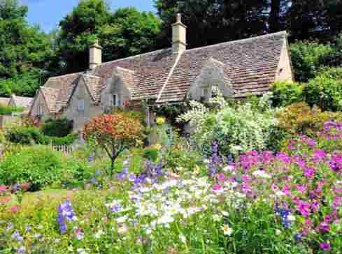 English country cottage surrounded by shrubs and trees